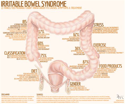 IBS in a nutshell | WilmaKirsten.com