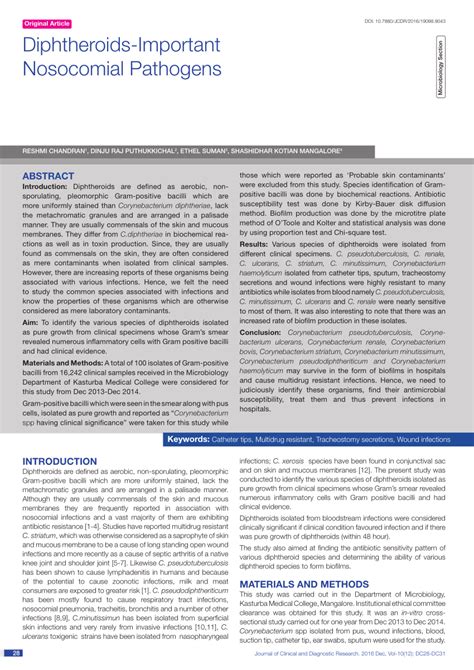 (PDF) Diphtheroids-Important Nosocomial Pathogens