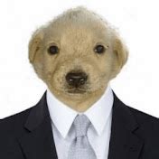 Suit Dog GIF - Suit dog - Discover & Share GIFs