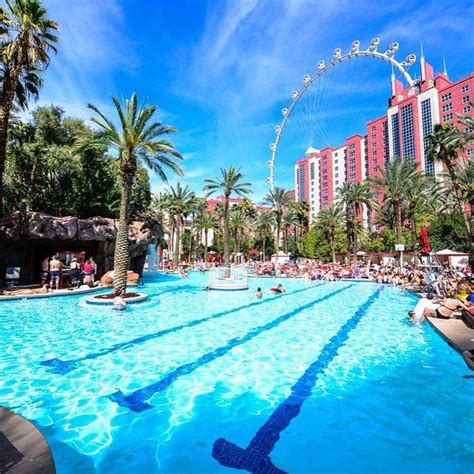 Flamingo, Las Vegas #pool #PoolParty #dayclub | Vegas pool party, Pool ...