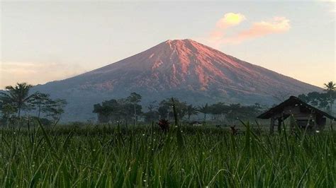 Gunung Semeru - TribunnewsWiki.com