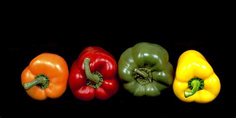 Peppers Digital Art by Steve Cohen Art Photography - Fine Art America