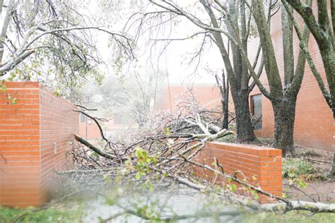 Ice storm leaves 600 OC students without power | Talon News