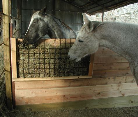 New Hay Feeder for the Stall