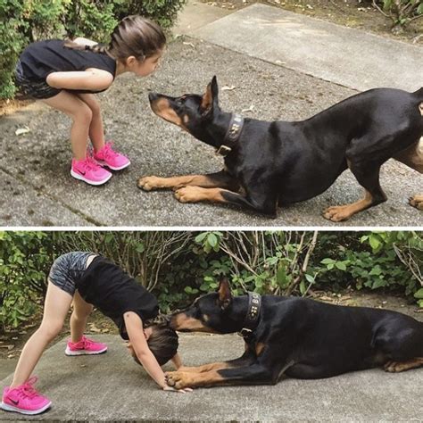 Adorable Girl And Doberman Duo Do Everything Together