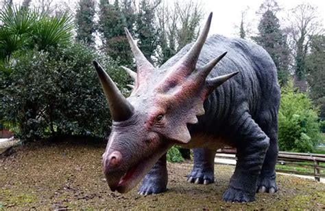 Triceratops - Description, Habitat, Image, Diet, and Interesting Facts