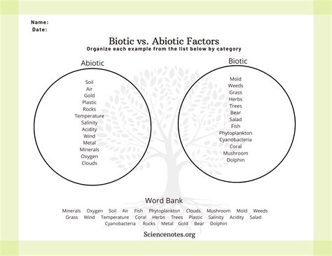 Biotic and Abiotic Factors in Ecology