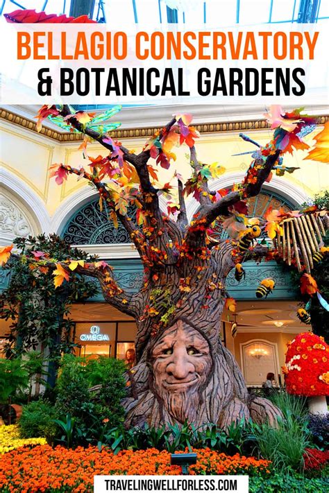 Bellagio Conservatory and Botanical Gardens Autumn Display