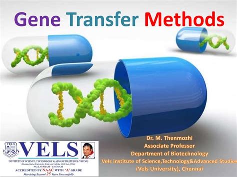 Gene transfer methods .ppt