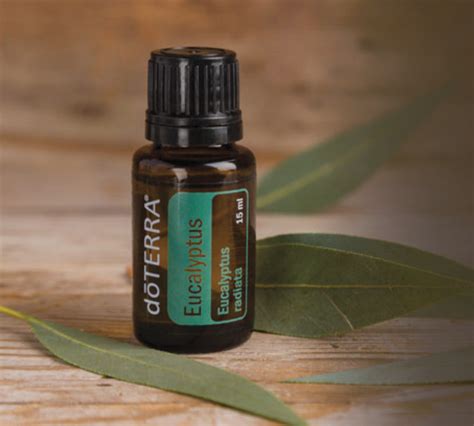 dōTERRA Eucalyptus Essential Oil - 15ml – Do Essential Oils Australia ...