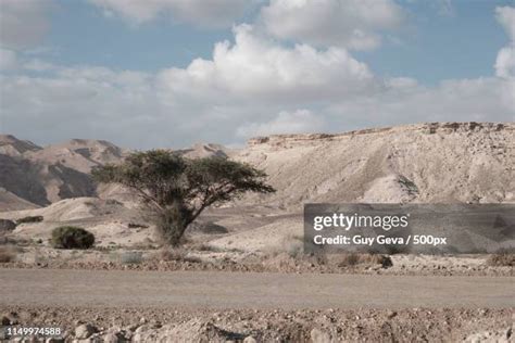 Dimona Israel Photos and Premium High Res Pictures - Getty Images