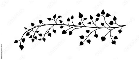 ivy vine design element, minimalistic vector of leaves in outline ...