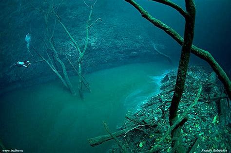 This Underwater River Flows Beneath The Ocean In Mexico