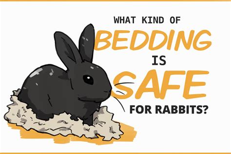 Bedding for Rabbits: Is It Even Necessary?