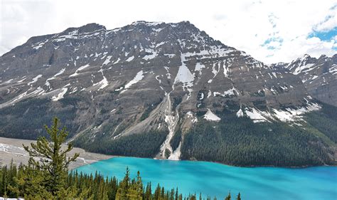 Spectacular Views of Peyto Glacier and Peyto Lake - The Gate