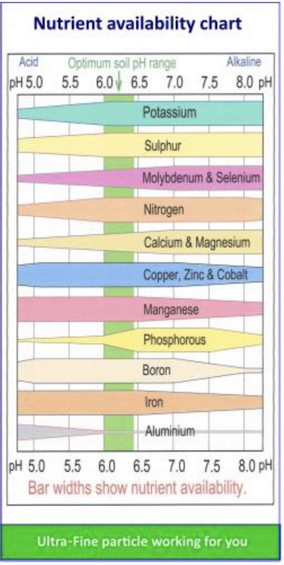 What Is Soil pH And Why Does It Matter - See Chart