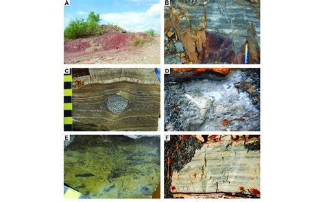 Sedimentary Facies of the Carboniferous Chepor Member, Kubang Pasu... | Download Scientific Diagram