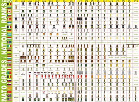 Army ranks and insignias of NATO members : r/europe