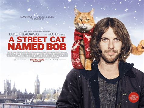 Cats in Film - A Street Cat Named Bob (2016)