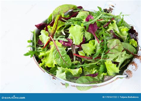 Mixed salad leaves stock photo. Image of recipe, ingredient - 170161722