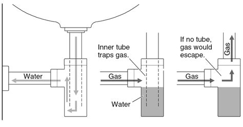 Is this a Drum trap? - Plumbing Inspections - InterNACHI®️ Forum