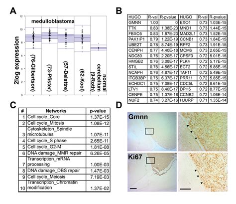 Geminin is highly expressed in human and mouse medulloblastoma. (A)... | Download Scientific Diagram