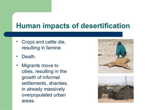 Desertification