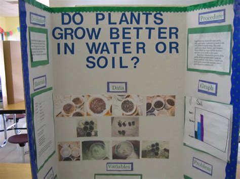 Do Plants Grow Better in Water or Soil?