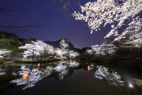 Cherry blossoms and autumn colours in Kyushu, Japan (pics and info)