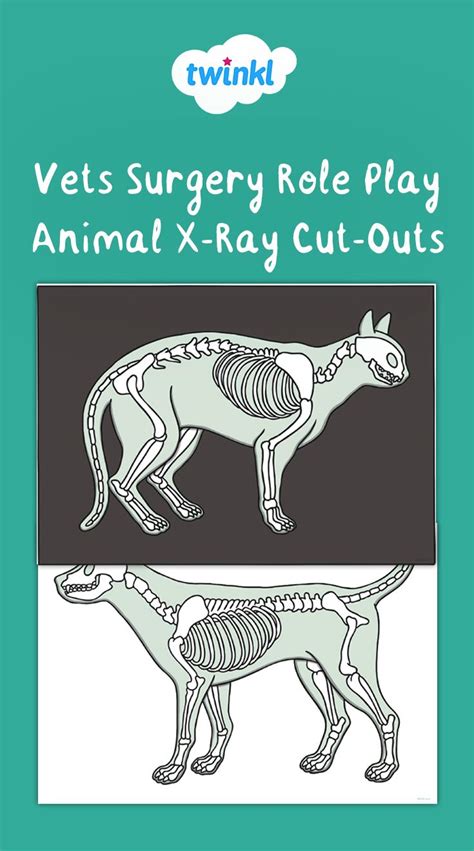 Vets Surgery Animal X-Ray Cut-Outs! | Dramatic play themes, Pets preschool, Vets