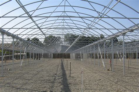 Greenhouse Construction – Stuppy Greenhouse