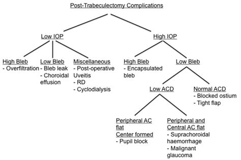 The approach to trabeculectomy postoperative complications | Eye News