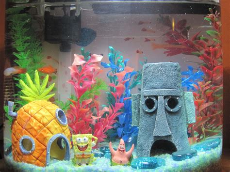 Decor For Fish Aquarium | Aquarium Design Ideas