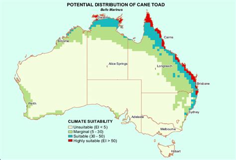 Cane Toad Distribution Map