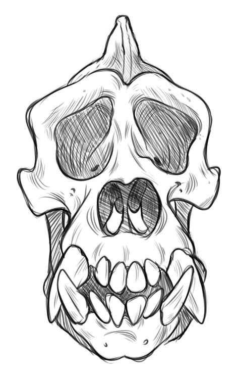 Gorilla Skull Drawing at GetDrawings | Free download