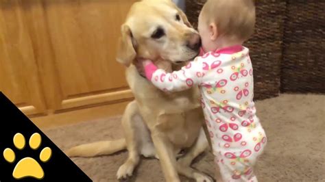 Cute Dogs And Adorable Babies: Compilation | Cute dogs, Cute dogs ...