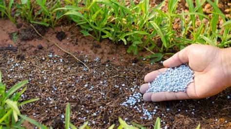 Fertilizer Application Techniques | American Environics