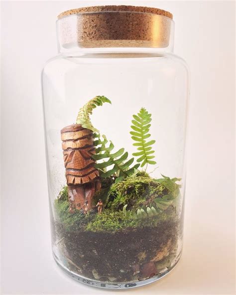 Moss terrarium, Terrarium, Miniature garden