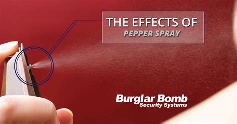 The Effects Of Pepper Spray | Pepper Spray Home Security -- Revel Technologies