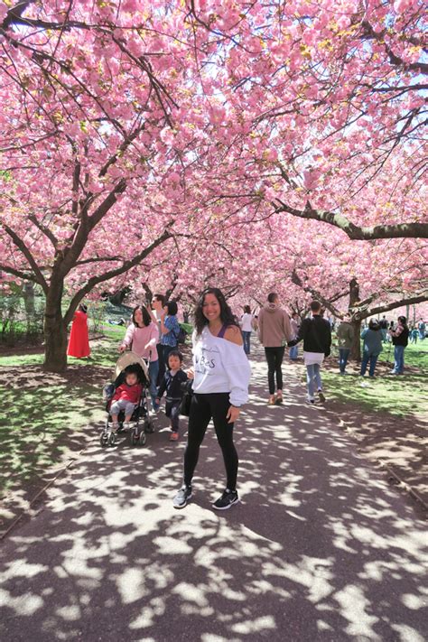 Brooklyn Botanic Garden Cherry Blossom Season 2017 - The Chic Life