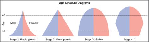 45.4C: Age Structure, Population Growth, and Economic Development ...