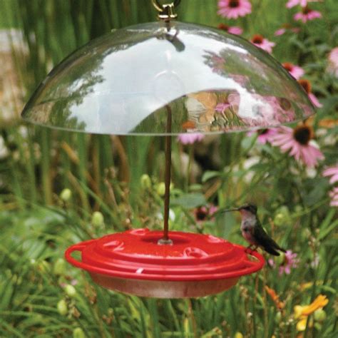 Shop Birds Choice Hummerdome Plastic Hummingbird Feeder at Lowes.com