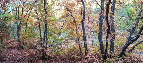 Autumn Colors - Guadalupe Mountains NP [OC] : r/texas