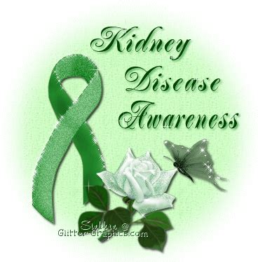 Kidney disease awareness Kidney Donor, Kidney Dialysis, Polycystic ...