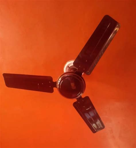 3 Blades 1000mm Electric Ceiling Fans, 3 Star at Rs 840/piece in Jaipur ...