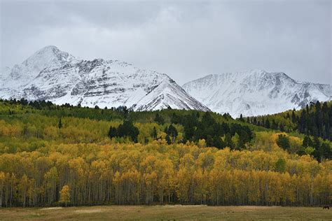 Mt. Wilson Fall Colors Photograph by Ray Mathis - Fine Art America