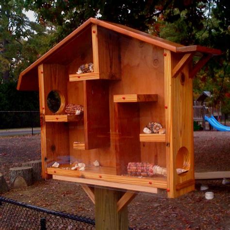 diy squirrel house plans - Esurient Chronicle Photo Gallery