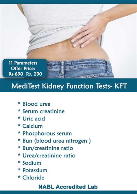 Kidney Function Test- KFT- RFT 11 Tests @Rs 290 | Free Home sample pickup