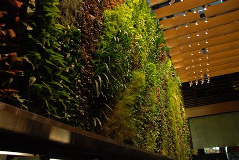 CapitaLand, 6 Battery Road, Rainforest Rhapsody, Singapore | Vertical Garden Patrick Blanc