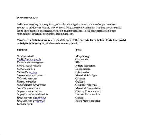 Enterobacter Aerogenes Morphology